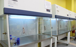 Molecular Biology Laboratory